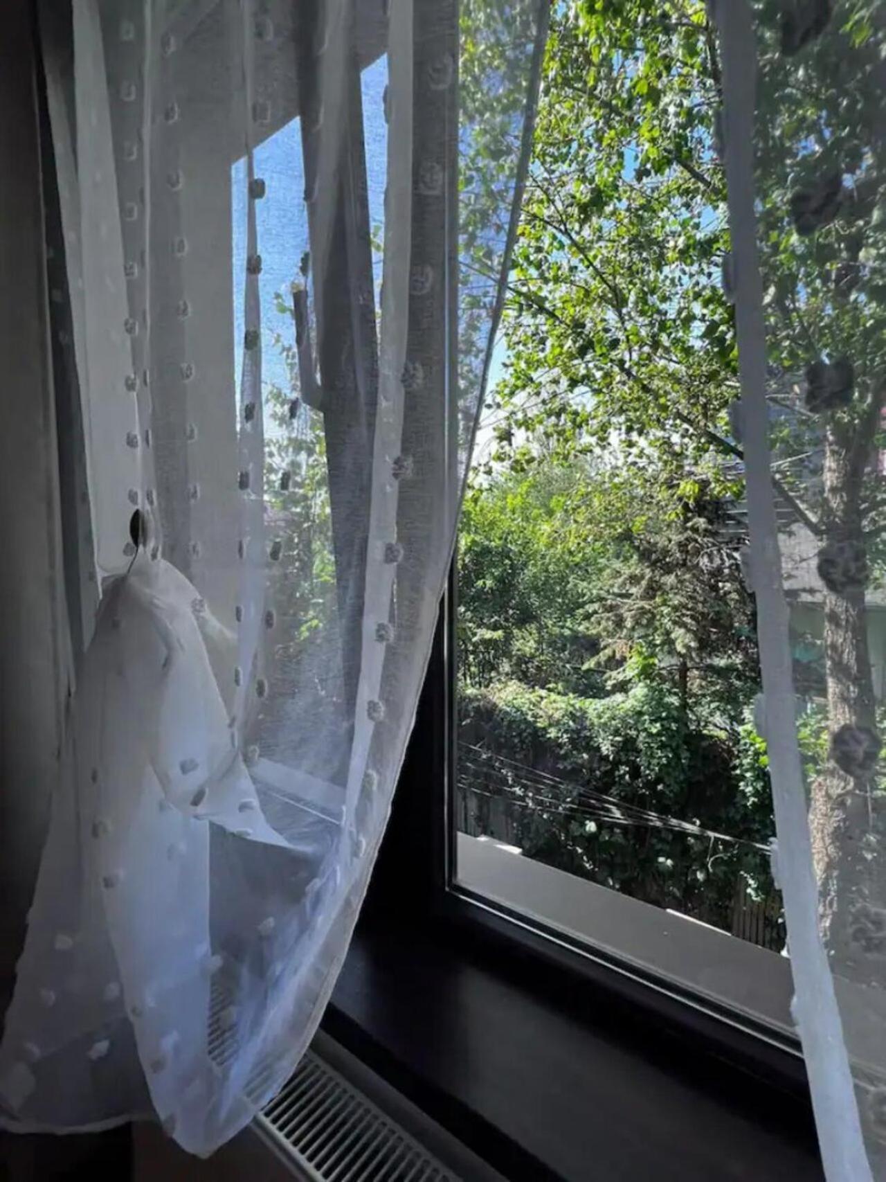 בוקרשט Vila Luminoasa Cu Curte Privata מראה חיצוני תמונה